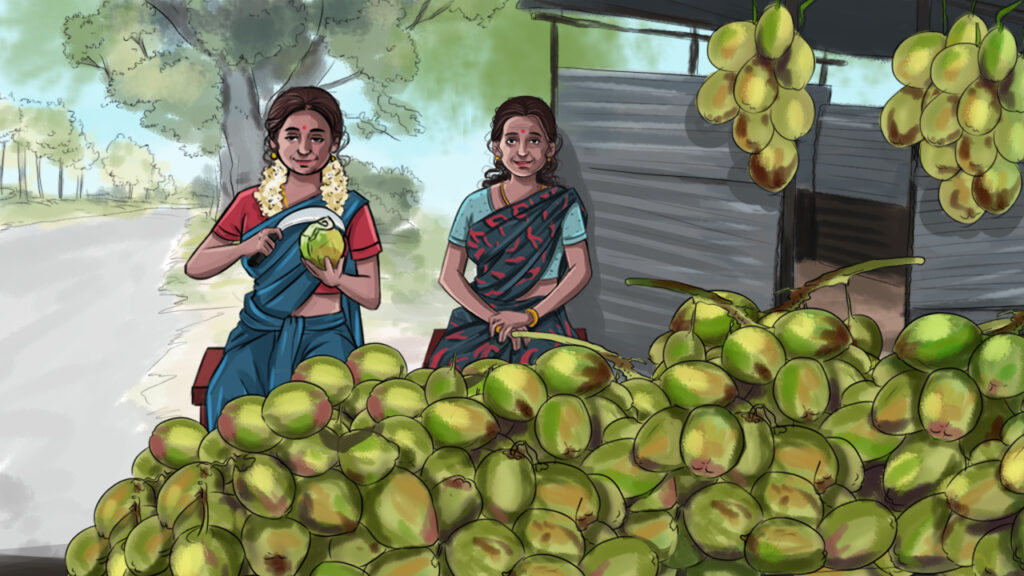 Pavani the coconut seller at Thengasipattanam