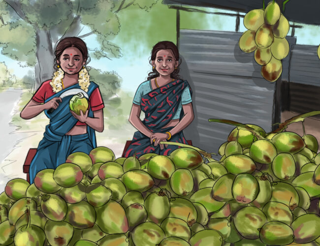 Pavani the coconut seller at Thengasipattanam